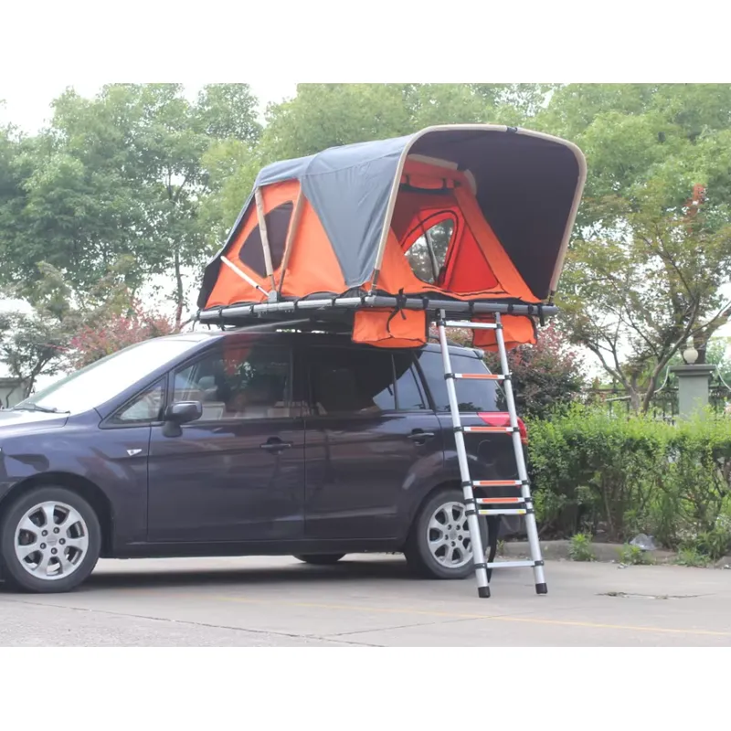 2-Person Waterproof Canvas Roo - Camping Tent review and price